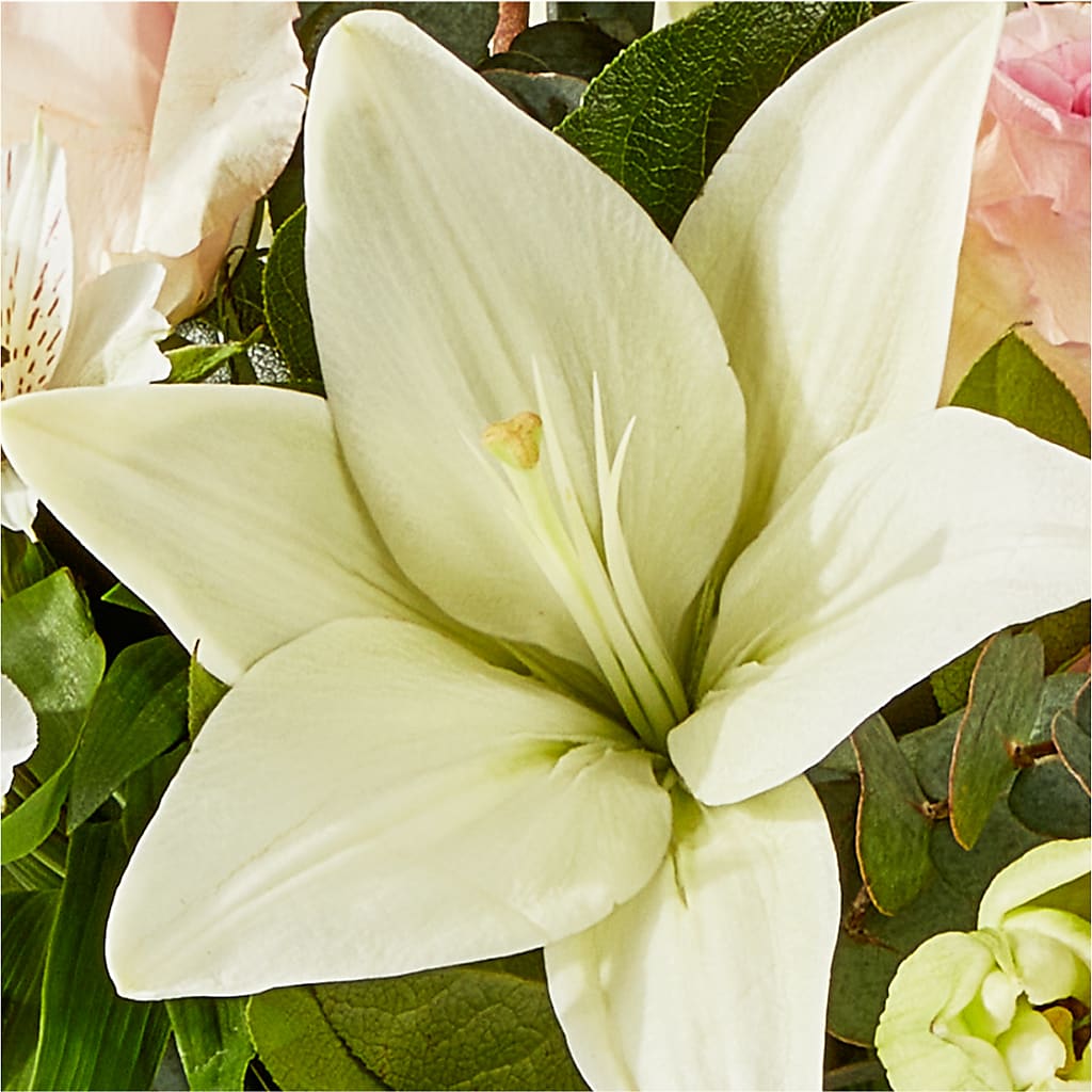Ballet Slippers Bouquet – TREASURE HUT FLOWERS GIFTS & GHSES, Delavan WI