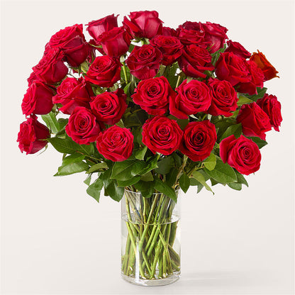 The One Red Rose Bouquet – TREASURE HUT FLOWERS GIFTS & GHSES, Delavan WI