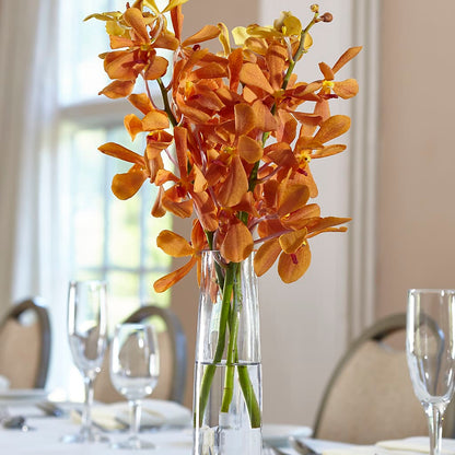 Orange Mokara Bud Vase – TREASURE HUT FLOWERS GIFTS & GHSES, Delavan WI