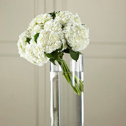 White Hydrangea Hand-Tied Bouquet – TREASURE HUT FLOWERS GIFTS & GHSES, Delavan WI