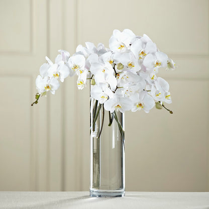 White Phalaenopsis Bouquet – TREASURE HUT FLOWERS GIFTS & GHSES, Delavan WI