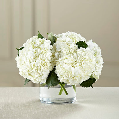 White Hydrangea Bouquet – TREASURE HUT FLOWERS GIFTS & GHSES, Delavan WI